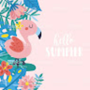 Meet your Posher, Jazzy